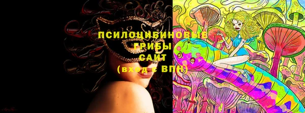 стафф Абаза