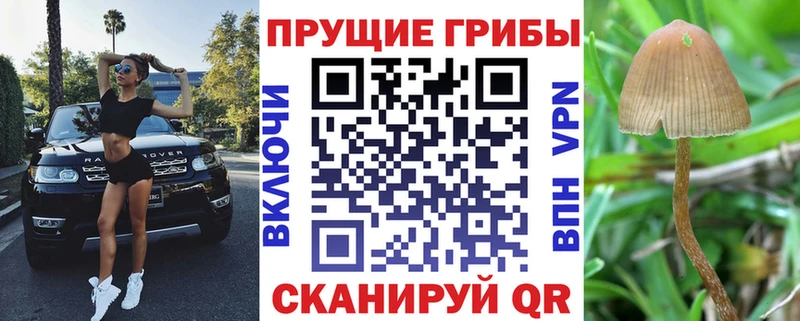 mega tor  Белый  Галлюциногенные грибы GOLDEN TEACHER  сколько стоит 